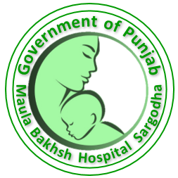 Hospital Logo